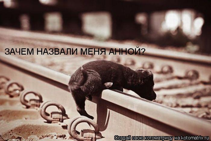 Котоматрица: ЗАЧЕМ НАЗВАЛИ МЕНЯ АННОЙ?