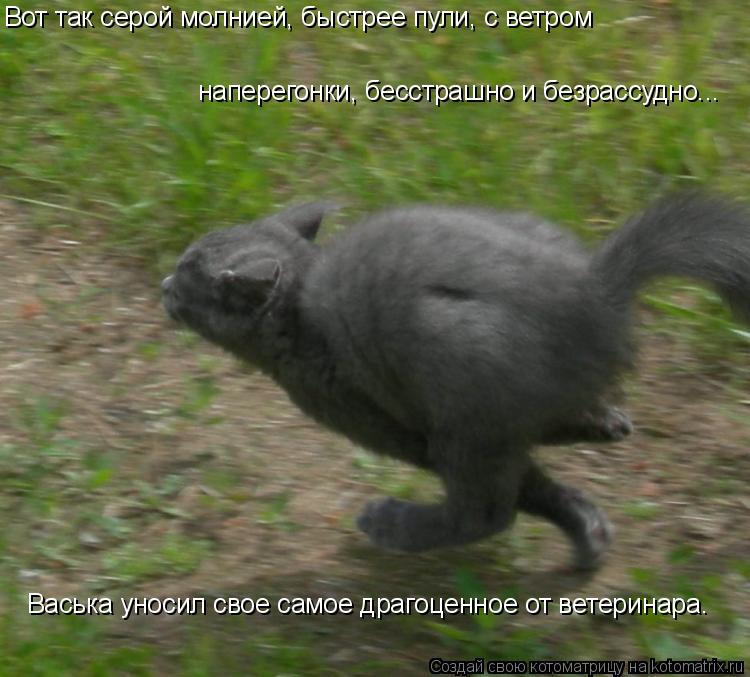 http://kotomatrix.ru/images/lolz/2009/09/18/361072.jpg