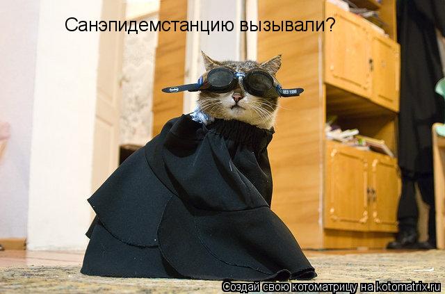 Котоматрица: Санэпидемстанцию вызывали?