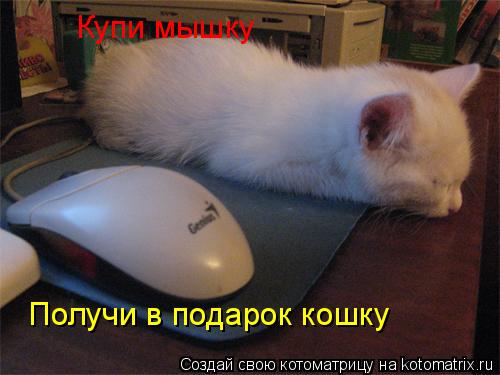 Котоматрица: Купи мышку Получи в подарок кошку