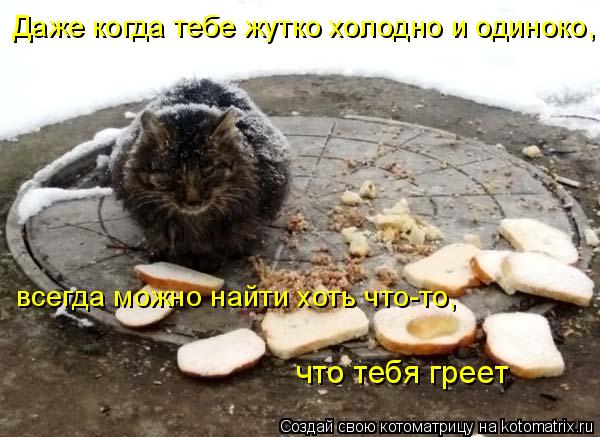 Котоматрица: Даже когда тебе жутко холодно и одиноко, всегда можно найти хоть что-то, что тебя греет