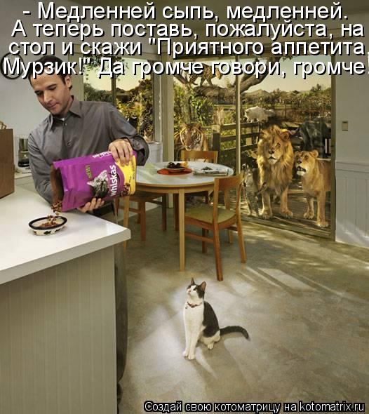 - Медленней сыпь, медленней. А теперь поставь, пожалуйста, на стол и скажи "Приятного аппетита, Мурз... Котоматрица: - Медленней сыпь, медленней. А теперь поставь, пожалуйста, на стол и скажи "Приятного аппетита, Мурзик!" Да громче говори, громче!