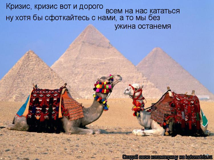 Котоматрица: Кризис, кризис вот и дорого всем на нас кататься ужина останемя ну хотя бы сфоткайтесь с нами, а то мы без