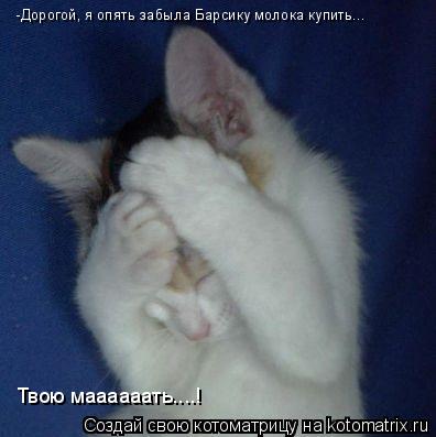 Котоматрица: -Дорогой, я опять забыла Барсику молока купить... Твою маааааать....!
