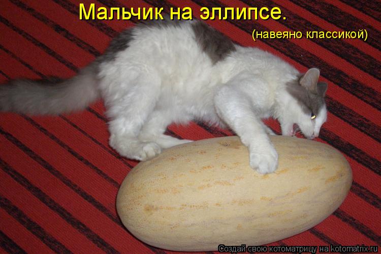 Котоматрица: Мальчик на эллипсе. (навеяно классикой)