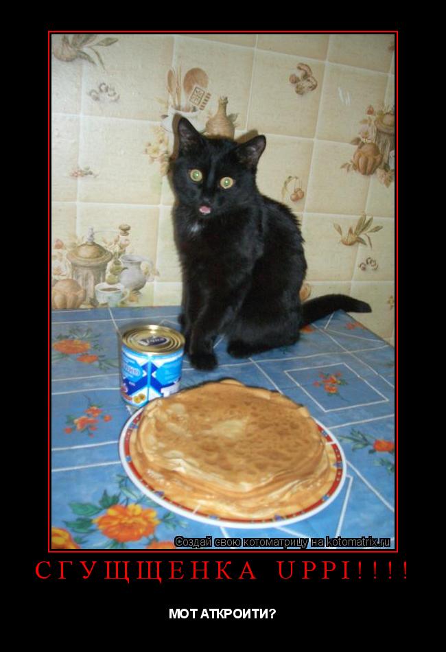 Котоматрица: СГУЩЩЁНКА UPPI!!!! МОТ АТКРОИТИ?