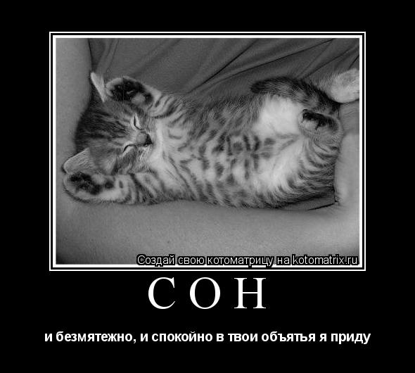СОН и безмятежно, и спокойно в твои объятья я приду... Котоматрица: СОН и безмятежно, и спокойно в твои объятья я приду