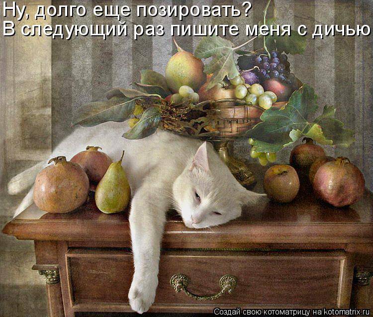 Котоматрица: Ну, долго еще позировать? В следующий раз пишите меня с дичью.
