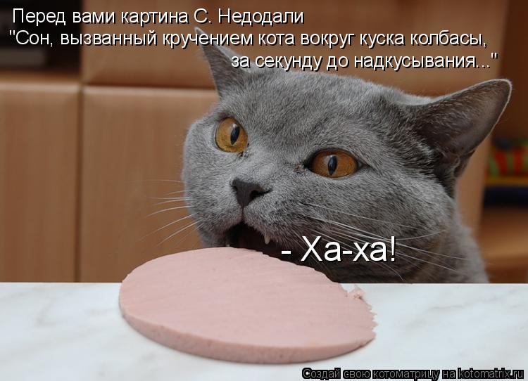 Котоматрица: Перед вами картина С. Недодали "Сон, вызванный кручением кота вокруг куска колбасы, за секунду до надкусывания..." - Ха-ха!