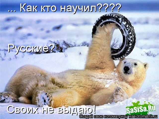 ... Как кто научил???? Русские? Своих не выдаю!... Котоматрица: ... Как кто научил???? Русские? Своих не выдаю!