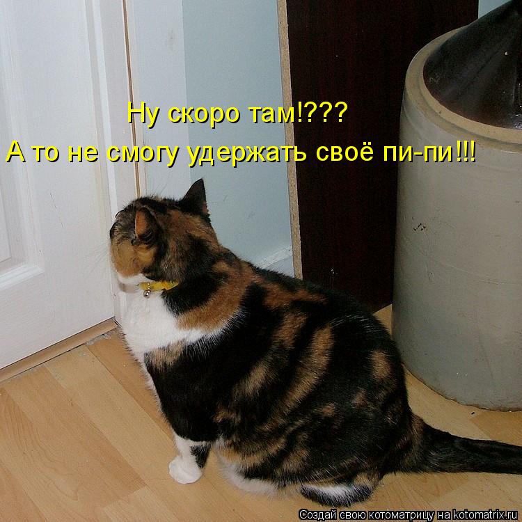 Котоматрица: Ну скоро там!??? А то не смогу удержать своё пи-пи!!!