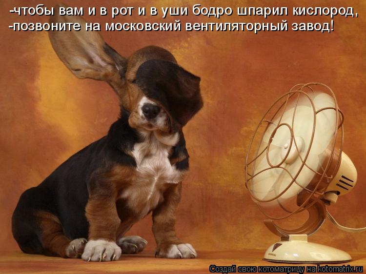 -чтобы вам и в рот и в уши бодро шпарил кислород, -позвоните на московский вентиляторный завод!... Котоматрица: -чтобы вам и в рот и в уши бодро шпарил кислород, -позвоните на московский вентиляторный завод!