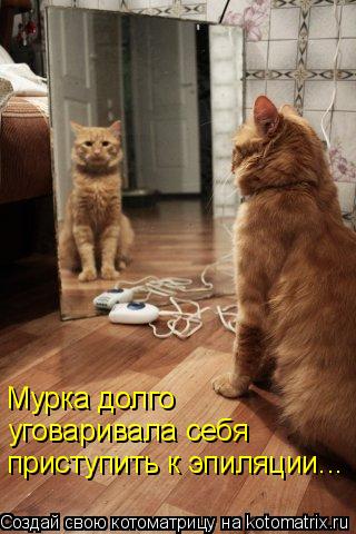 Мурка долго уговаривала себя приступить к эпиляции Мурка долго уговаривала себя приступить к эпиляции... Котоматрица: Мурка долго уговаривала себя приступить к эпиляции Мурка долго уговаривала себя приступить к эпиляции...