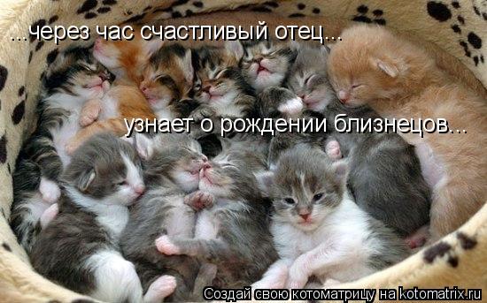 Котоматрица: ...через час счастливый отец... узнает о рождении близнецов...