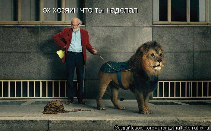 Котоматрица: эх хозяин что ты наделал