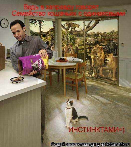 Котоматрица: Ведь в заправду говорят Семейство кошачьих с одинаковыми ИНСТИНКТАМИ=)