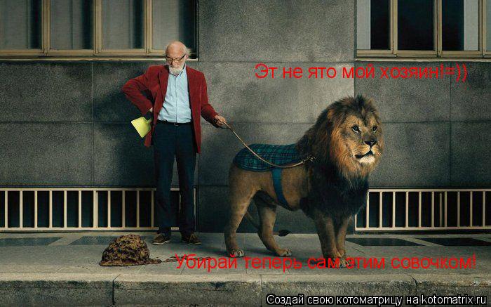 Котоматрица: Эт не ято мой хозяин!=)) Убирай теперь сам этим совочком!
