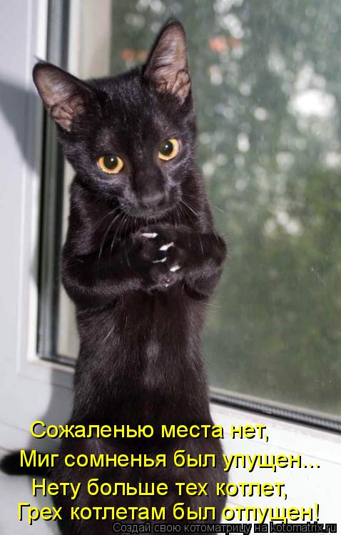 Сожаленью места нет, Миг сомненья был упущен... Нету больше тех котлет, Грех котлетам был отпущен!... Котоматрица: Сожаленью места нет, Миг сомненья был упущен... Нету больше тех котлет, Грех котлетам был отпущен!
