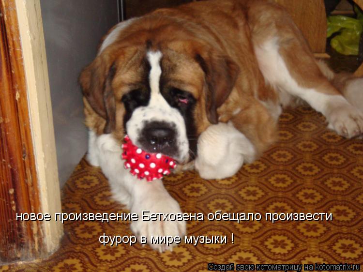 Котоматрица: новое произведение Бетховена обещало произвести фурор в мире музыки !