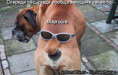Котоматрица: Спереди пёс, сзади вообще женщина какая-то, Маргоша. ....