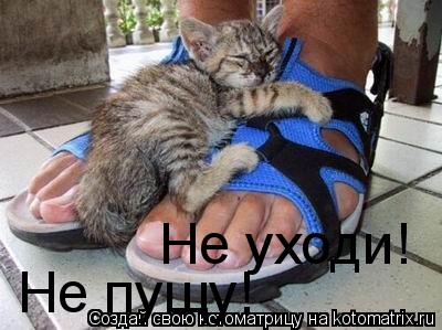 Котоматрица: Не уходи! Не пущу!