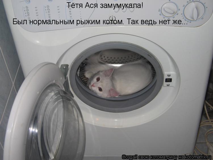 Тётя Ася замумукала! Был нормальным рыжим котом. Так ведь нет же...... Котоматрица: Тётя Ася замумукала! Был нормальным рыжим котом. Так ведь нет же...