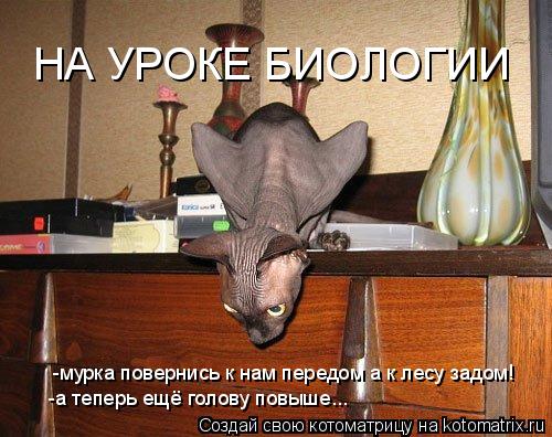 Котоматрица: НА УРОКЕ БИОЛОГИИ -мурка повернись к нам передом а к лесу задом! -а теперь ещё голову повыше...