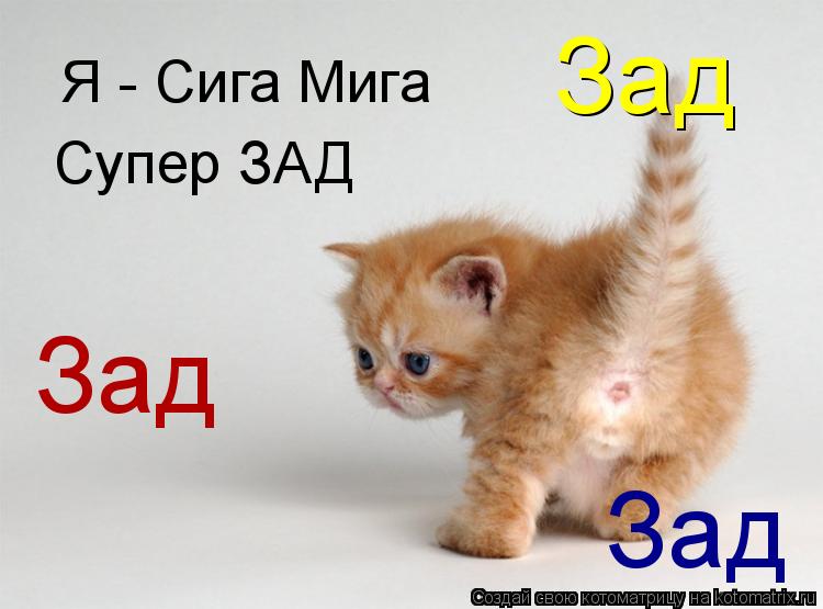 Котоматрица: Я - Сига Мига Супер ЗАД Зад Зад Зад