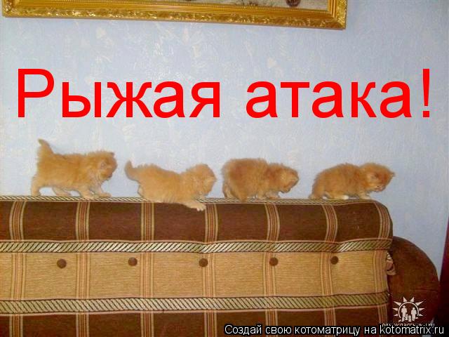 Котоматрица: Рыжая атака!