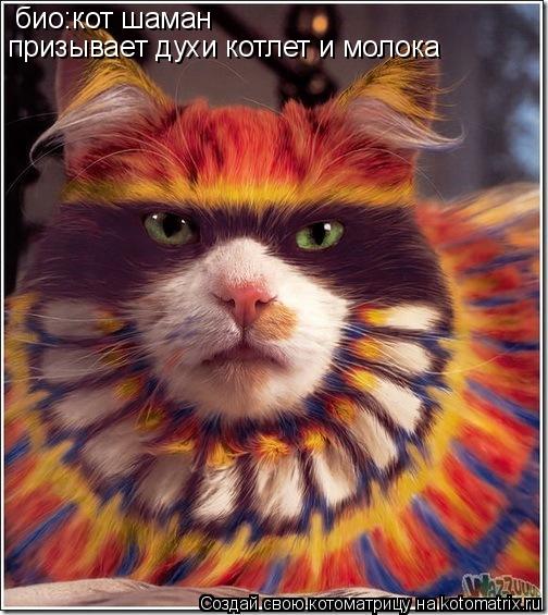 Котоматрица: био:кот шаман  призывает духи котлет и молока
