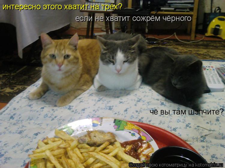 Котоматрица: интересно этого хватит на трёх? если не хватит сожрём чёрного чё вы там шэпчите?