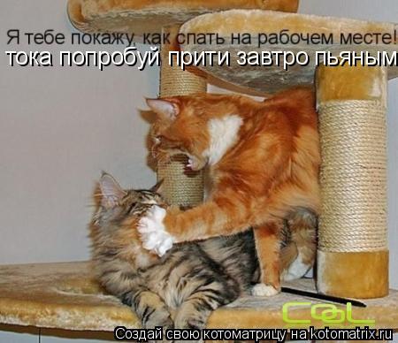 Котоматрица: тока попробуй прити завтро  пьяным