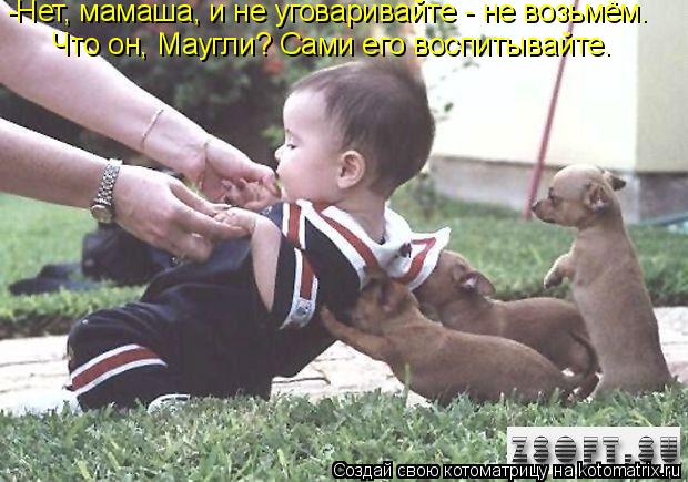 -Нет, мамаша, и не уговаривайте - не возьмём. Что он, Маугли? Сами его воспитывайте.... Котоматрица: -Нет, мамаша, и не уговаривайте - не возьмём. Что он, Маугли? Сами его воспитывайте.