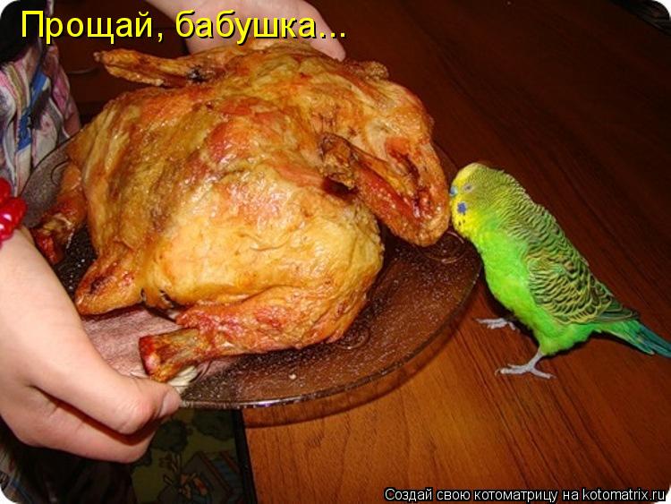 Котоматрица: Прощай, бабушка...