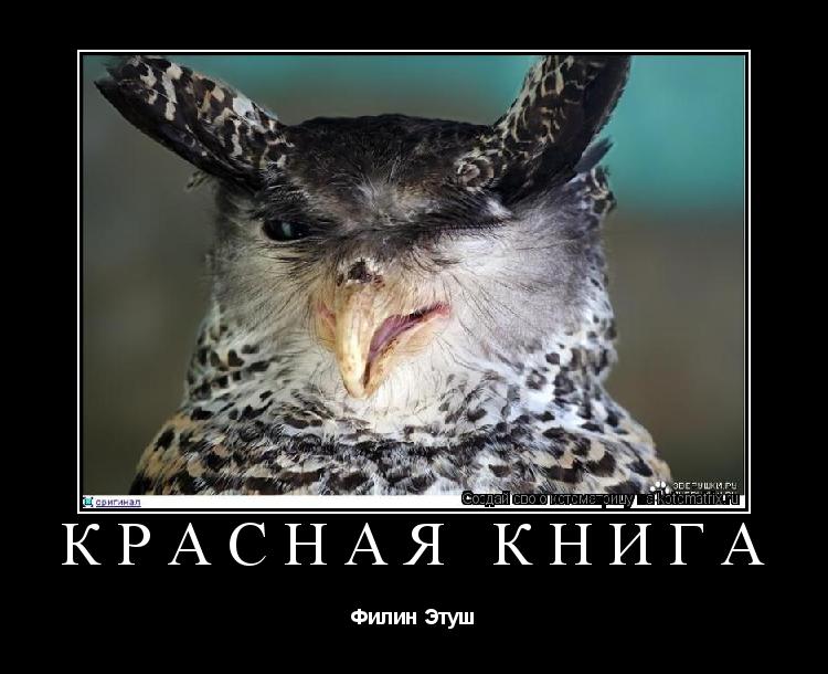 Котоматрица: Красная книга Филин Этуш