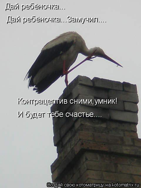 Дай ребёночка... Контрацептив сними,умник! И будет тебе счастье.... Дай ребёночка...Замучил....... Котоматрица: Дай ребёночка... Контрацептив сними,умник! И будет тебе счастье.... Дай ребёночка...Замучил....