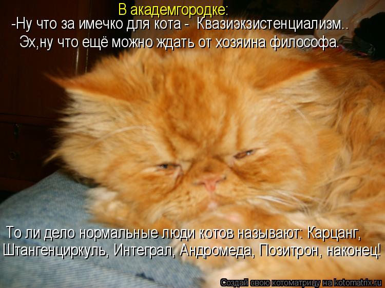 Котоматрица: То ли дело нормальные люди котов называют: Карцанг, Штангенциркуль, Интеграл, Андромеда, Позитрон, наконец! -Ну что за имечко для кота -  Кваз