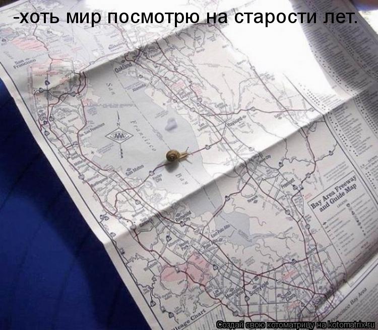 -хоть мир посмотрю на старости лет.... Котоматрица: -хоть мир посмотрю на старости лет.