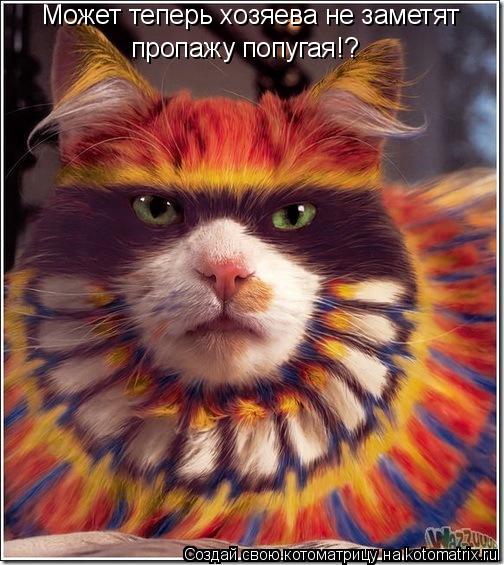 Котоматрица: Может теперь хозяева не заметят пропажу попугая!?