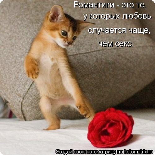 Котоматрица: Романтики - это те, у которых любовь  случается чаще, чем секс.