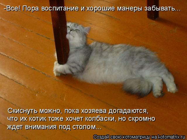 Котоматрица: -Все! Пора воспитание и хорошие манеры забывать... Скиснуть можно, пока хозяева догадаются,  что их котик тоже хочет колбаски, но скромно  жде