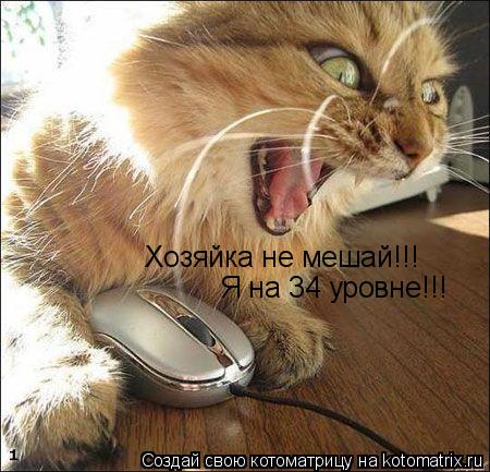 Хозяйка не мешай!!! Я на 34 уровне!!!... Котоматрица: Хозяйка не мешай!!! Я на 34 уровне!!!