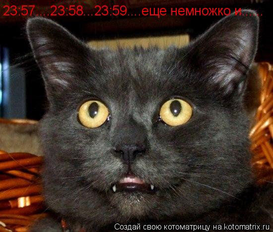 23:57....23:58...23:59....еще немножко и......... Котоматрица: 23:57....23:58...23:59....еще немножко и......
