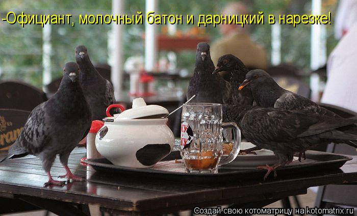 -Официант, молочный батон и дарницкий в нарезке!... Котоматрица: -Официант, молочный батон и дарницкий в нарезке!