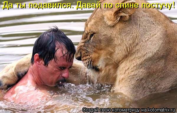 Да ты подавился. Давай по спине постучу!... Котоматрица: Да ты подавился. Давай по спине постучу!