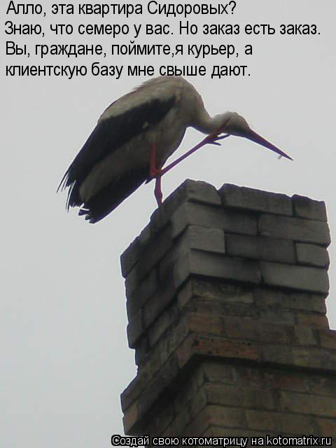 Алло, эта квартира Сидоровых? Знаю, что семеро у вас. Но заказ есть заказ. Вы, граждане, поймите,я ку... Котоматрица: Алло, эта квартира Сидоровых? Знаю, что семеро у вас. Но заказ есть заказ. Вы, граждане, поймите,я курьер, а клиентскую базу мне свыше дают.