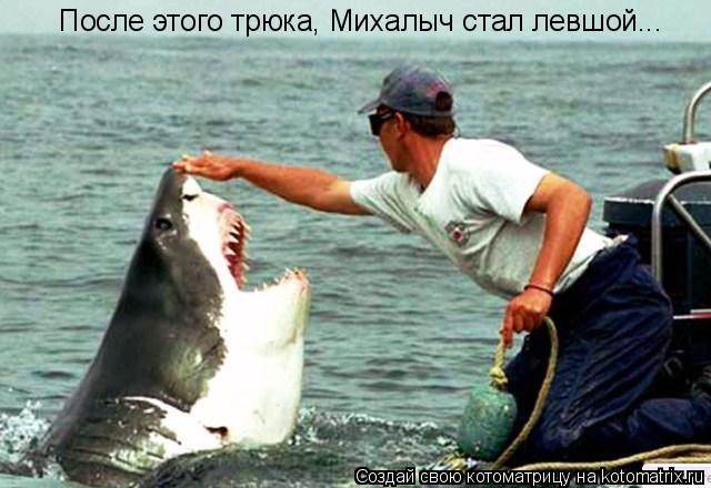 Котоматрица: После этого трюка, Михалыч стал левшой...