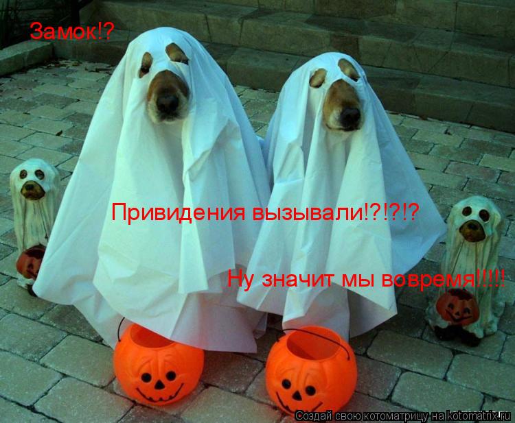 Котоматрица: Замок!? Привидения вызывали!?!?!? Ну значит мы вовремя!!!!!