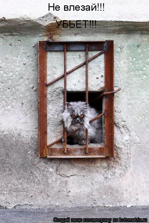 Котоматрица: Не влезай!!! УБЬЕТ!!!