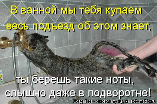 В ванной мы тебя купаем весь подъезд об этом знает, ты берешь такие ноты, слышно даже в подворотне!... Котоматрица: В ванной мы тебя купаем весь подъезд об этом знает, ты берешь такие ноты, слышно даже в подворотне!